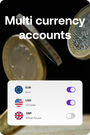 multi currency accounts image